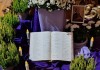 photo22